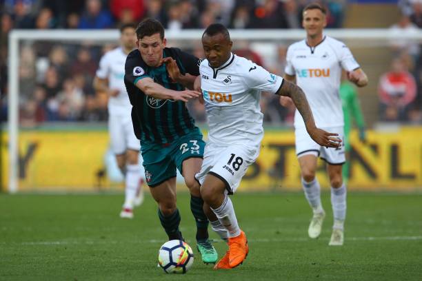 鹿团队精心 鹿团队精心